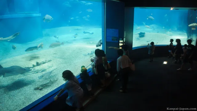 how to go to kaiyukan aquarium from namba