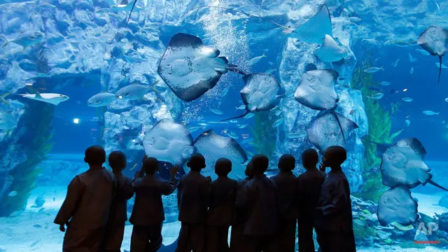 how to go to lotte aquarium from lotte world