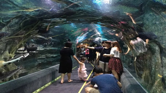 how to go to lotte aquarium from lotte world