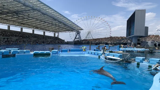 How to Go to Nagoya Aquarium: Tips for Hassle-Free Travel in 2021!