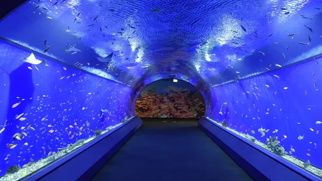 how to go to osaka aquarium