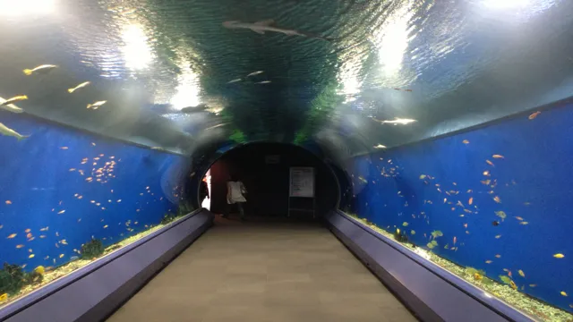 how to go to osaka aquarium from universal studios