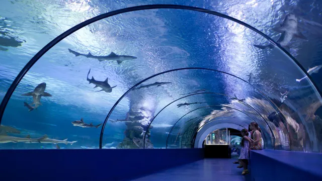 How to Go to Osaka Aquarium from Universal Studios: A Step-by-Step Guide