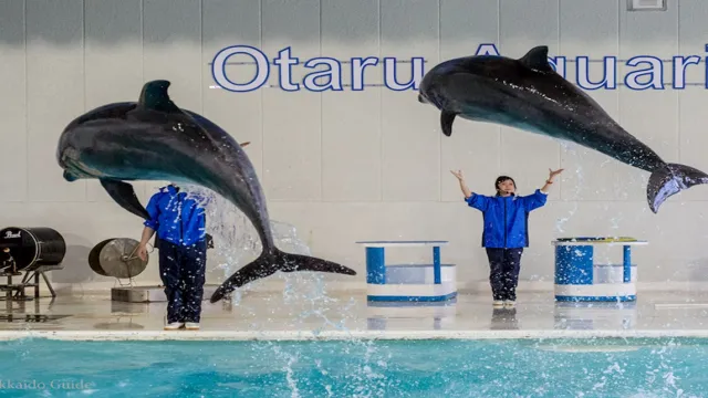 How to Go to Otaru Aquarium from Otaru Station: A Step-by-Step Guide