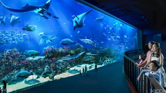 how to go to sea aquarium by taxi