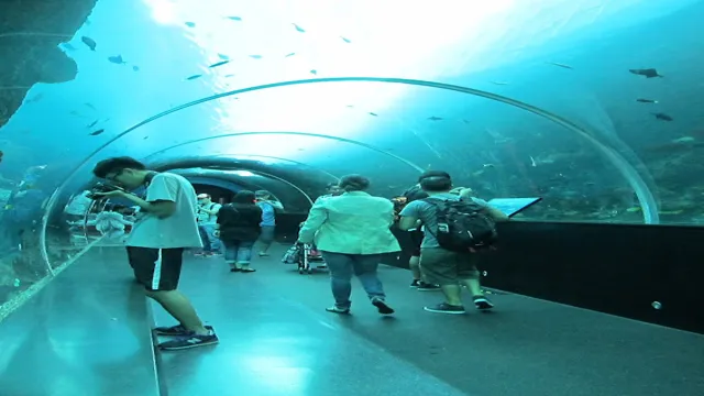 How to Go to Sea Aquarium from Vivocity: A Comprehensive Guide