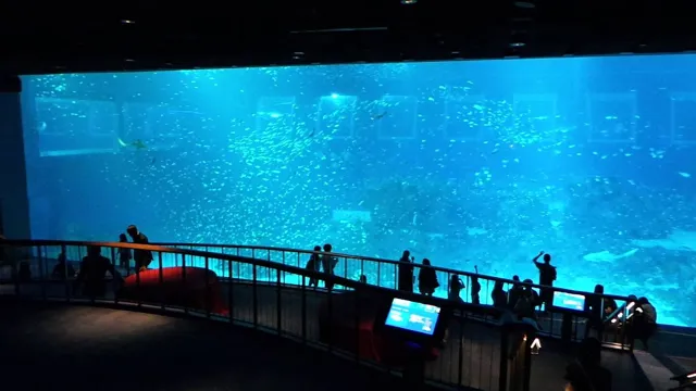 how to go to sea aquarium sentosa