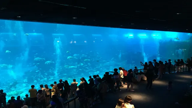 how to go to sea aquarium singapore