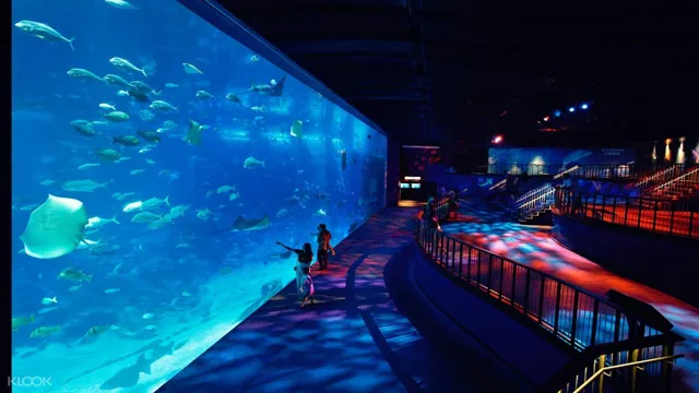 how to go to sea aquarium singapore