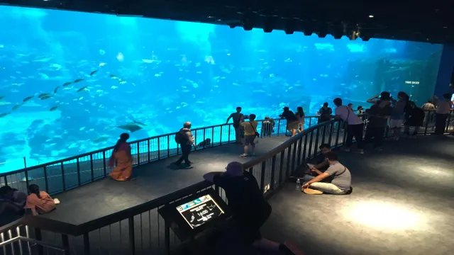 how to go to sea aquarium singapore by mrt