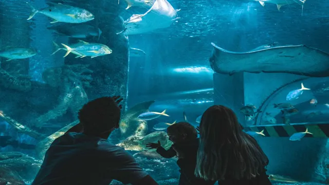 how to go to sea life aquarium