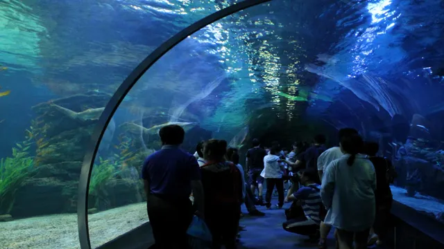 How to Go to Sea Life Busan Aquarium: A Comprehensive Guide