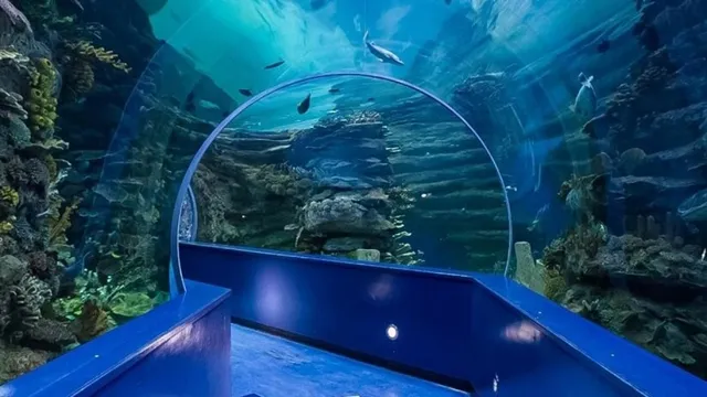 how to go to sharjah aquarium