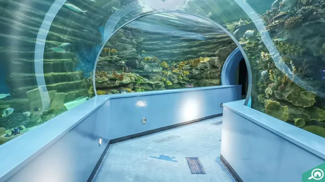 How to Go to Sharjah Aquarium: A Complete Guide for Visitors