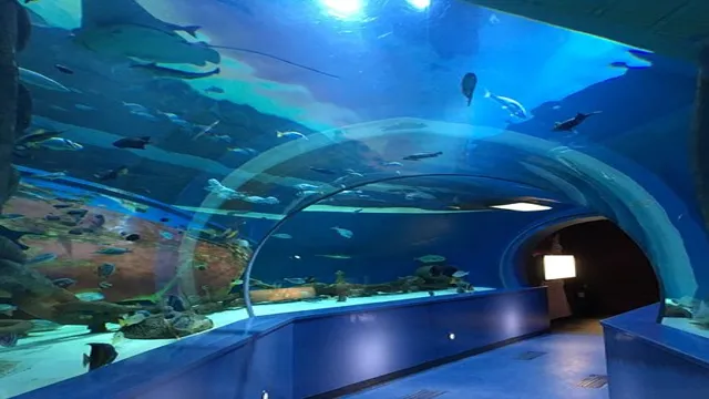 how to go to sharjah aquarium