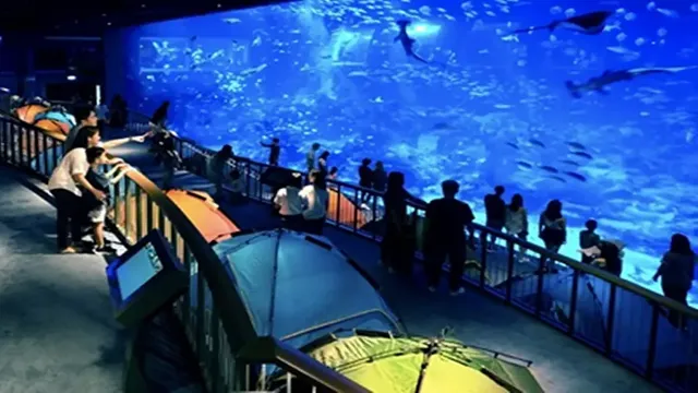 how to go to singapore sea aquarium