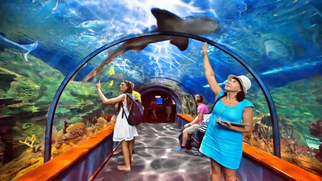 How to Go to Singapore Sea Aquarium: A Comprehensive Guide for First-Time Visitors