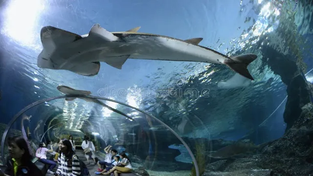 how to go to southeast asia aquarium