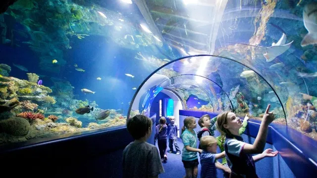 How to Go to the Aquarium for Free: Top Ways to…