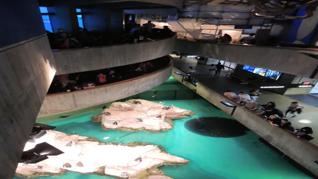 how to go to the boston aquarium for cheap