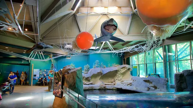 How to Go to Vancouver Aquarium: A Comprehensive Guide to Plan Your Visit