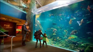how to go to vancouver aquarium