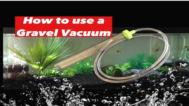 How to Gravel Vac Aquarium: A Step-by-Step Guide for a Clean and Healthy Tank