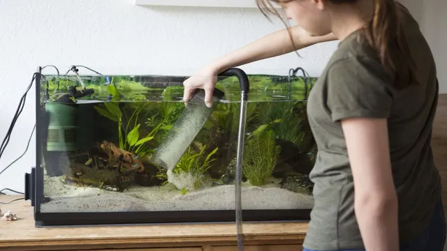 how to gravel vacuum a planted aquarium