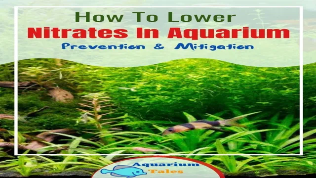 how to greatly reduce nitrates in aquarium