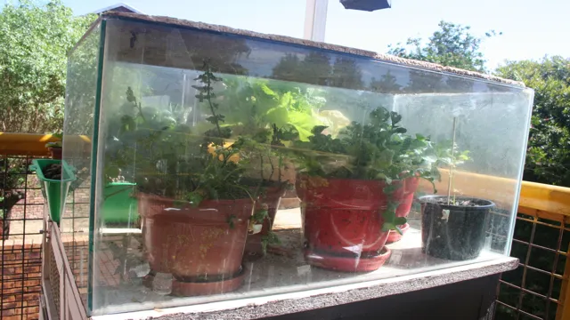 How to Greenhouse Aquarium Plants: A Comprehensive Guide for Beautiful Underwater Gardens