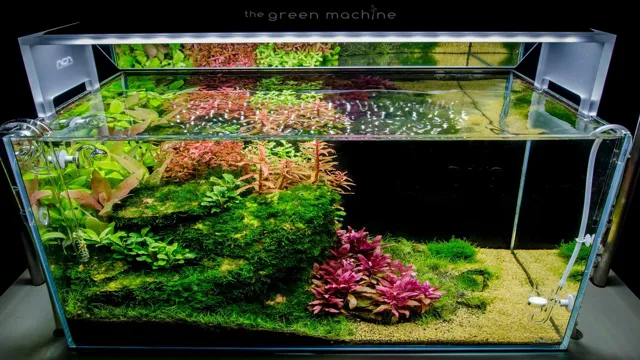 how to greenscape aquarium