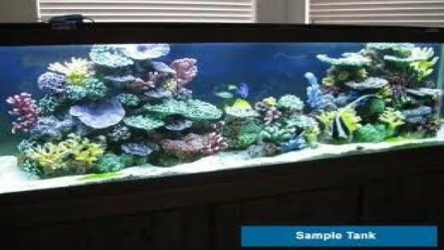 How to Ground a Saltwater Aquarium: A Step-by-Step Guide for Beginners