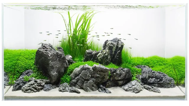 How to Ground an Aquarium: A Step-by-Step Guide for Safe and Effective Electrical Connection