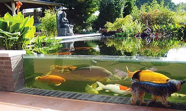 How to Ground an Aquarium for Safe and&hellip;