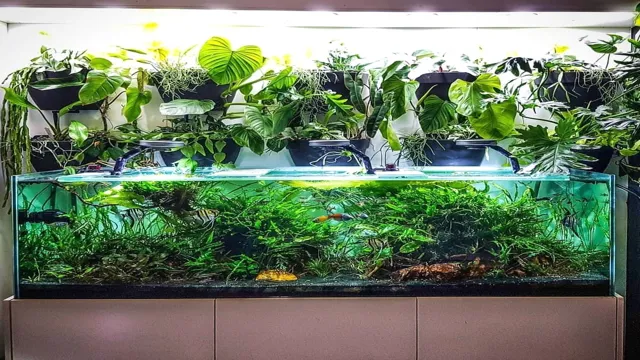 How to Grow Aquarium Plants in Fish Tank: A Comprehensive Guide to Ensuring Healthy Growth and Thriving Ecosystem.