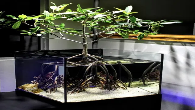 how to grow aquarium plants in pots