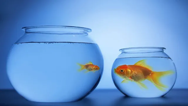 how to grow big fish in aquarium