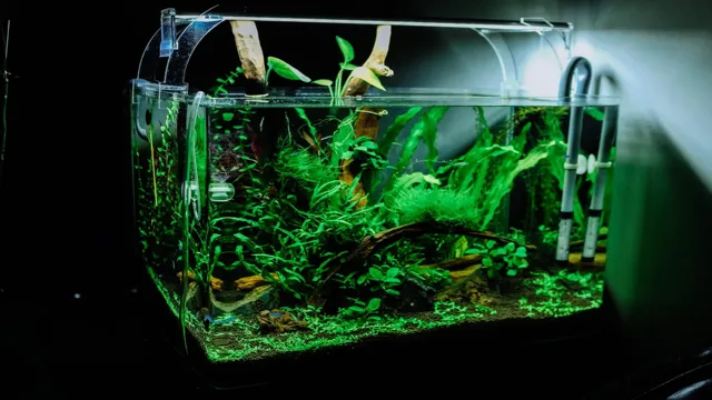 how to grow cannabis in an aquarium