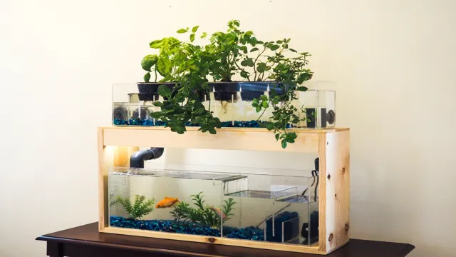 how to grow herbs in an aquarium