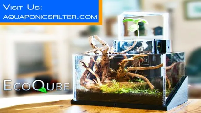 How to Grow Herbs in an Aquarium: A Beginner’s Guide for Successful Herb Cultivation