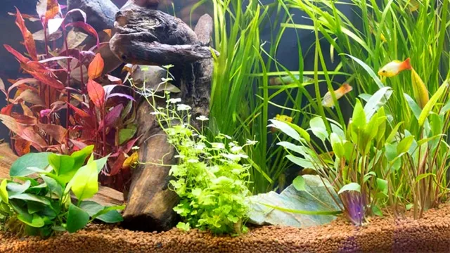 How to Grow Herbs in an Aquarium: The Ultimate Guide for Beginners