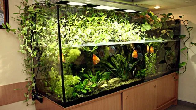 how to grow houseplants in aquarium
