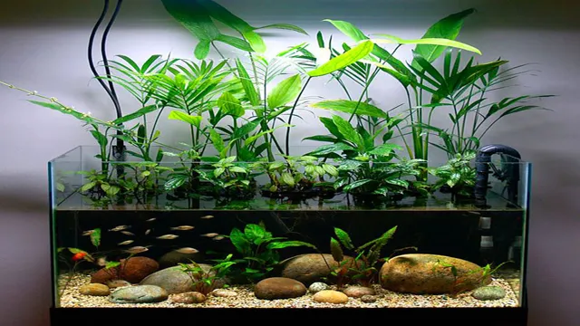 how to grow houseplants in aquarium