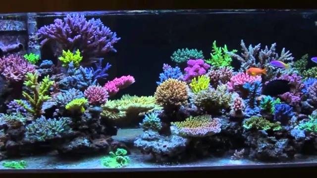 How to Help Your SPS Aquarium Thrive: Tips and Tricks for…