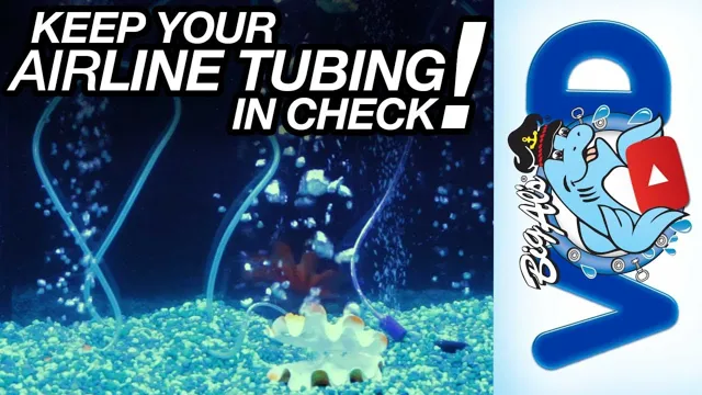 how to hide airline tubing in aquarium
