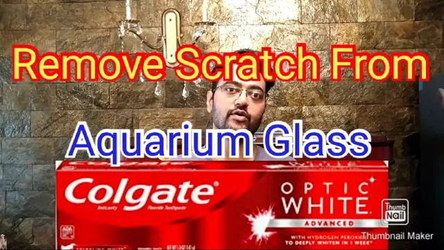 how to hide scratches in aquarium glass