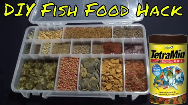 How to Hold Food to Bottom of Aquarium – Tips and Tricks for Ensuring Your Fish Get the Right Nutrition