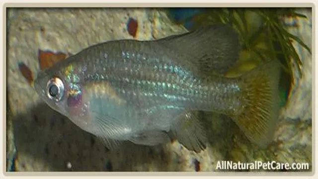how to increase or decrease kh in freshwater aquarium