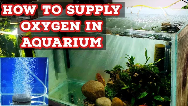 how to increase oxygen content in aquarium