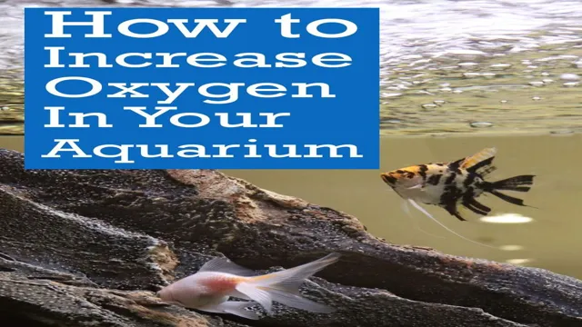 how to increase oxygen in marine aquarium